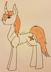 Size: 2469x3490 | Tagged: safe, artist:agdapl, oc, oc only, pony, unicorn, female, high res, horn, mare, signature, solo, traditional art, unicorn oc