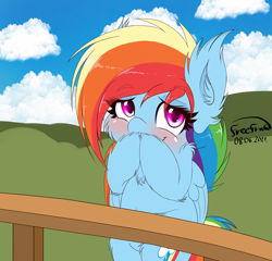 Size: 3649x3499 | Tagged: safe, artist:freefraq, rainbow dash, pegasus, pony, g4, backwards cutie mark, bipedal, blushing, cheek fluff, chest fluff, cute, dashabetes, ear fluff, female, fence, fluffy, happy, high res, looking at you, mare, simple background, smiling, solo, weapons-grade cute