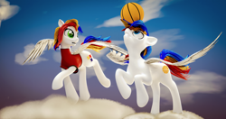 Size: 4096x2160 | Tagged: safe, artist:twilighlot, oc, oc only, pegasus, pony, 3d, basketball, blender, cloud, commission, duo, on a cloud, sky, sports