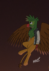 Size: 6814x9834 | Tagged: safe, artist:summerium, oc, oc only, oc:kalimu, griffon, absurd file size, absurd resolution, beak, clothes, flying, griffon oc, looking up, male, night, night sky, sky, smiling, solo, talons, wings