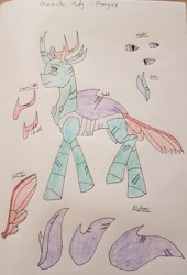 Size: 2663x3914 | Tagged: safe, artist:agdapl, pharynx, changedling, changeling, g4, high res, male, prince pharynx, reference sheet, signature, solo, traditional art