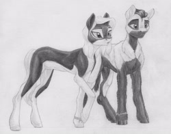 Size: 3995x3137 | Tagged: safe, artist:joestick, oc, oc only, oc:arcalia, oc:kass, earth pony, pony, brother and sister, coat markings, earth pony oc, female, high res, male, monochrome, pencil drawing, siblings, socks (coat markings), traditional art