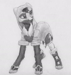Size: 2332x2448 | Tagged: safe, artist:joestick, oc, oc only, oc:kass, earth pony, pony, clothes, coat markings, high res, hoodie, male, monochrome, pencil drawing, shoes, traditional art