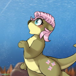 Size: 1000x1000 | Tagged: safe, artist:llametsul, fluttershy, otter, pony, g4, atg 2021, blushing, bubble, chest fluff, coral, cutie mark, dorsal fin, female, fin, fish tail, newbie artist training grounds, ocean, open mouth, paws, signature, solo, species swap, swimming, tail, underwater, water