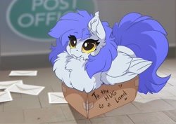 Size: 3507x2481 | Tagged: safe, artist:arctic-fox, oc, oc only, oc:gabriel, pegasus, pony, box, chest fluff, cute, cute little fangs, ear fluff, excessive fluff, eye clipping through hair, eyebrows, eyebrows visible through hair, fangs, high res, if i fits i sits, looking up, maximum overfloof, ocbetes, pegasus oc, pony in a box, smiling, solo, weapons-grade cute