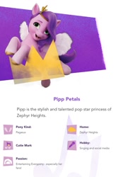 Size: 716x1072 | Tagged: safe, pipp petals, pegasus, pony, g5, my little pony: a new generation, official, adorapipp, cute, female, introduction, mare, solo, text
