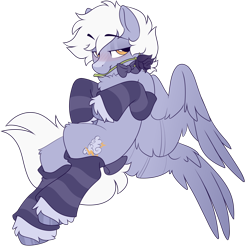 Size: 1970x2011 | Tagged: safe, artist:crimmharmony, oc, oc only, oc:nimbus bolt, pegasus, pony, blushing, bow, bowtie, chest fluff, clothes, coat markings, eyebrows, eyebrows visible through hair, flower, flower in mouth, flying, lidded eyes, looking at you, male, mouth hold, rose, simple background, socks, solo, spread wings, stallion, striped socks, tail bow, transparent background, unshorn fetlocks, wings