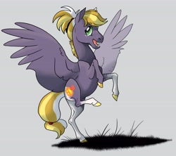 Size: 5738x5091 | Tagged: safe, artist:sandieapple, oc, oc only, oc:fall harvest, pegasus, pony, absurd resolution, female, filly, freckles, gray background, magical lesbian spawn, offspring, parent:applejack, parent:inky rose, parents:inkyjack, rearing, simple background, solo, spread wings, standing, standing on one leg, wings