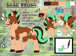 Size: 2732x2048 | Tagged: safe, artist:sursiq, oc, oc only, oc:carbon, oc:sagebrush, earth pony, pony, closed mouth, cute, cutie mark, earth pony oc, eyes closed, eyes open, frog (hoof), green eyes, high res, male, multicolored hair, multicolored mane, multicolored tail, oc x oc, open mouth, pony oc, reference sheet, shipping, standing, underhoof, watermark, wings