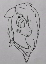 Size: 2247x3137 | Tagged: safe, artist:autumnsfur, oc, oc only, oc:glitter stone, earth pony, pony, blushing, bust, earth pony oc, female, hair over one eye, high res, lineart, mare, neckerchief, ponysona, traditional art