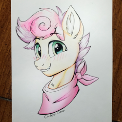 Size: 2000x2000 | Tagged: safe, artist:confetticakez, oc, oc only, oc:wallparty, pony, bandana, blushing, bust, ear fluff, high res, looking at you, portrait, smiling, smiling at you, solo, traditional art