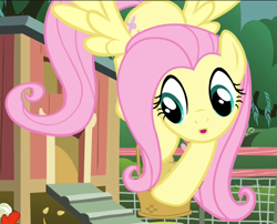 Size: 645x522 | Tagged: safe, screencap, fluttershy, pegasus, pony, filli vanilli, g4, season 4, cropped, flying, solo