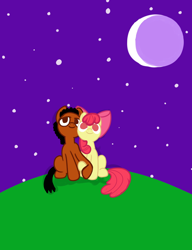 Size: 2000x2600 | Tagged: safe, apple bloom, oc, oc:ladainian otis, earth pony, pony, g4, canon x oc, colt, female, filly, high res, holding hoof, ladainianbloom, looking at the sky, love, male, shipping, smiling, straight