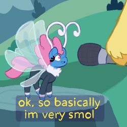 Size: 1000x1000 | Tagged: safe, artist:apatheticxaddict, fluttershy, seabreeze, breezie, pegasus, pony, g4, it ain't easy being breezies, basically i'm very smol, dexterous hooves, female, implied fluttershy, male, meme, microphone, offscreen character, ponified meme, size difference, smol, solo focus, subtitles, transparent wings, unshorn fetlocks, wings