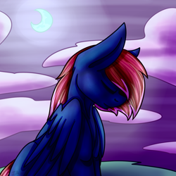 Size: 1500x1500 | Tagged: safe, artist:jane-ander, oc, oc only, oc:snap roll, pegasus, pony, commission, female, mare, moon, night, solo, ych result