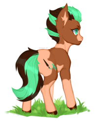 Size: 1408x1764 | Tagged: safe, artist:sannoe, oc, oc only, oc:sagebrush, earth pony, pony, butt, commission, earth pony oc, full body, grass, green eyes, hooves, looking away, male, multicolored hair, multicolored mane, multicolored tail, pinto, plot, pony oc, shading, simple background, solo, spots, stallion, standing, white background, ych result
