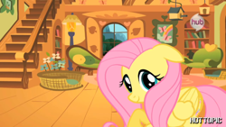 Size: 1280x720 | Tagged: safe, fluttershy, pony, g4, cute, floppy ears, fluttershy's cottage, hot minute, hot topic, hub logo, hub network, interview, looking at you, shy, shyabetes, solo