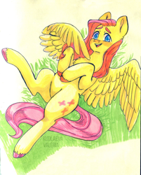 Size: 1280x1594 | Tagged: safe, artist:valeriakudlaeva, fluttershy, pegasus, pony, g4, blushing, chest fluff, colored hooves, eyebrows, female, grass, hooves to the chest, looking at you, lying down, mare, on back, open mouth, open smile, outdoors, smiling, solo, spread wings, three quarter view, traditional art, wings, wrong eye color