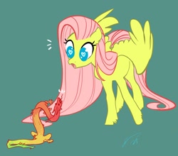 Size: 2104x1850 | Tagged: safe, artist:opalacorn, fluttershy, pegasus, pony, g4, amazed, duo, emanata, female, forked tongue, heart eyes, looking at each other, looking at someone, looking down, mare, meeting, no pupils, open mouth, simple background, size difference, spread wings, standing, teal background, three quarter view, unshorn fetlocks, wingding eyes, wings