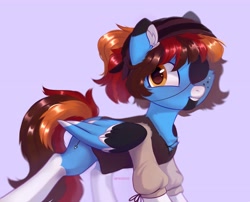 Size: 4096x3306 | Tagged: safe, artist:raily, oc, oc only, pegasus, pony, solo
