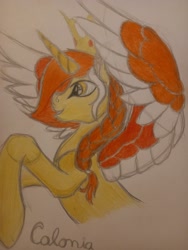 Size: 1536x2048 | Tagged: safe, artist:silbernepegasus, oc, oc only, oc:colonia, alicorn, pony, solo, traditional art