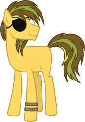 Size: 1024x1472 | Tagged: safe, artist:pegasski, oc, oc only, oc:patch, earth pony, pony, g4, base used, eyepatch, male, simple background, solo, stallion, transparent background