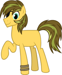Size: 1556x1877 | Tagged: safe, artist:pegasski, oc, oc only, oc:patch, earth pony, pony, g4, base used, eyepatch, male, simple background, solo, stallion, transparent background
