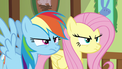 Size: 1280x720 | Tagged: safe, screencap, fluttershy, rainbow dash, pegasus, pony, flutter brutter, g4, season 6, angry, duo, duo female, female, fluttershy is not amused, fluttershy's cottage, frown, mare, rainbow dash is not amused, spread wings, unamused, wings
