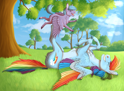 Size: 6824x4982 | Tagged: safe, artist:bluet0ast, rainbow dash, oc, oc:cyclone, pegasus, pony, butt fluff, chest fluff, cloud, colored wings, colt, duo, eyes closed, female, male, mare, mother and child, mother and son, multicolored wings, offspring, outdoors, parent:oc:tornado, parent:rainbow dash, parents:canon x oc, pegasus oc, rainbow wings, smiling, tree, wings