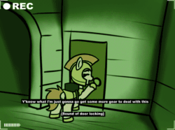 Size: 1294x961 | Tagged: safe, artist:neuro, oc, earth pony, pony, animated, camera, female, gif, guardsmare, mare, night vision, offscreen character, pov, royal guard