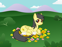 Size: 1024x768 | Tagged: safe, artist:aha-mccoy, oc, oc only, oc:banana scent, earth pony, pegasus, pony, crossed hooves, female, flower, looking at you, lying down, mare, prone, solo