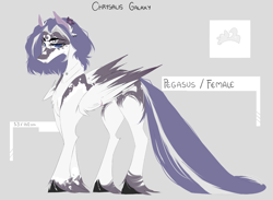 Size: 2578x1888 | Tagged: safe, artist:chrysgalaxy, oc, oc only, pegasus, pony, hoof fluff, pegasus oc, reference sheet, solo, wings