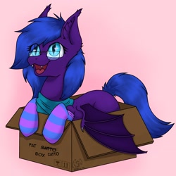 Size: 3072x3072 | Tagged: safe, artist:zackwhitefang, oc, oc only, bat pony, pony, bat pony oc, bat wings, behaving like a cat, box, clothes, commission, cute, cute little fangs, digital art, fangs, female, glasses, high res, hooves, if i fits i sits, mare, open mouth, pony in a box, scarf, socks, solo, spread wings, striped socks, tail, wings