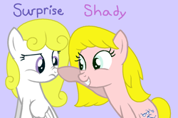 Size: 1060x704 | Tagged: safe, artist:thecircusmaster64, shady, surprise, earth pony, pony, g1, g4, adoraprise, boop, close-up, cute, duo, female, friends, frown, g1 shadybetes, g1 to g4, generation leap, good friends, grin, lesbian, mare, purple background, ship:shadyprise, shipping, simple background, smiling, surprise is not amused, unamused