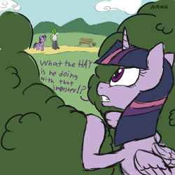 Size: 1000x1000 | Tagged: safe, artist:notawriteranon, mean twilight sparkle, twilight sparkle, oc, oc:anon, alicorn, pony, g4, the mean 6, bench, bush, spying, twilight sparkle (alicorn), yandere