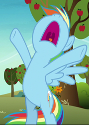 Size: 488x683 | Tagged: safe, screencap, rainbow dash, pegasus, pony, g4, grannies gone wild, bipedal, cropped, female, nose in the air, open mouth, solo, sweet apple acres