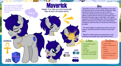 Size: 1200x655 | Tagged: safe, artist:jennieoo, oc, oc only, oc:maverick, earth pony, pony, bio, male, man, ponytail, reference, reference sheet, show accurate, simple background, smiling, smug, solo, stallion, vector