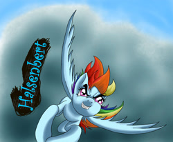 Size: 1280x1055 | Tagged: safe, artist:halsenbert, rainbow dash, pegasus, pony, g4, flying, gritted teeth, solo