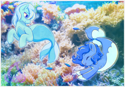 Size: 1000x692 | Tagged: safe, artist:raininess, oc, oc only, merpony, seapony (g4), blue eyes, blue mane, coral, crepuscular rays, eyes closed, fish tail, flowing tail, looking at each other, open mouth, photo, smiling, swimming, tail, underwater, unshorn fetlocks, water