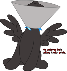 Size: 3619x3849 | Tagged: safe, artist:waveywaves, oc, oc only, oc:nimbus, pegasus, pony, elizabethan collar, high res, simple background, solo, spread wings, text, transparent background, wings