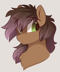 Size: 780x924 | Tagged: safe, artist:crimmharmony, oc, oc only, oc:be sharp, earth pony, pony, bust, chest fluff, male, simple background, solo