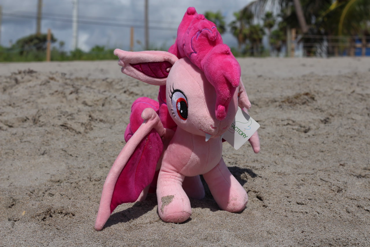 #2657802 - safe, pinkie pie, bat pony, pony, g4, bat ponified, irl ...