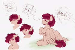 Size: 2000x1350 | Tagged: safe, artist:crimmharmony, oc, oc only, oc:crimm harmony, pegasus, pony, chin fluff, doodle, flower, male, mouth hold, rule 63, sitting, sketch, smiling, solo