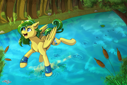 Size: 3000x2000 | Tagged: safe, artist:littletigressda, oc, oc only, oc:downpour, pegasus, pony, high res, solo, walking on water