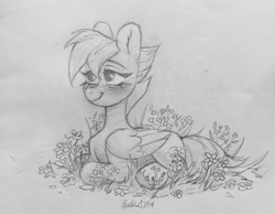 Size: 1280x994 | Tagged: safe, artist:bloodymrr, oc, oc only, pegasus, pony, commission, cute, grass, lying down, solo, traditional art