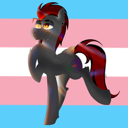 Size: 4000x4000 | Tagged: safe, artist:dicemarensfw, oc, oc only, oc:dicemare, pegasus, pony, crying, fangs, freckles, happy, hoof on chest, lighting, looking up, male, piercing, pride, pride flag, solo, stallion, trans male, transgender, transgender pride flag, wings