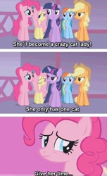 Size: 558x916 | Tagged: safe, edit, screencap, applejack, fluttershy, pinkie pie, rainbow dash, twilight sparkle, earth pony, pegasus, pony, unicorn, g4, season 1, suited for success, caption, crazy cat lady, funny, give her time, image macro, text