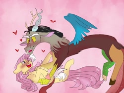 Size: 768x576 | Tagged: safe, artist:cocolove2176, discord, fluttershy, draconequus, pony, g4, blushing, blushing profusely, female, hand on chest, heart, looking at each other, male, pink background, ship:discoshy, shipping, straight, tickling