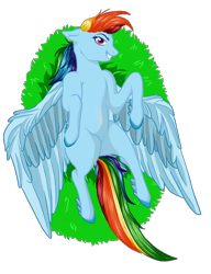 Size: 762x992 | Tagged: safe, artist:schokocream, rainbow dash, pegasus, pony, g4, female, grin, lying down, mare, on back, simple background, smiling, solo, transparent background, wings