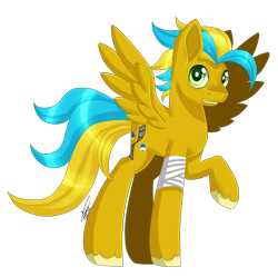 Size: 2323x2317 | Tagged: safe, artist:inspiredpixels, oc, oc only, pegasus, pony, bandage, high res, male, raised hoof, signature, simple background, solo, spread wings, stallion, standing, transparent background, unshorn fetlocks, wings